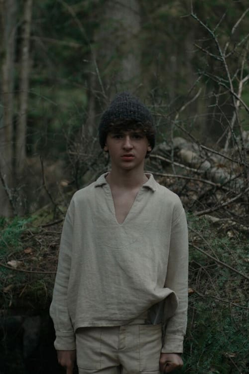 The Boy in the Woods poster