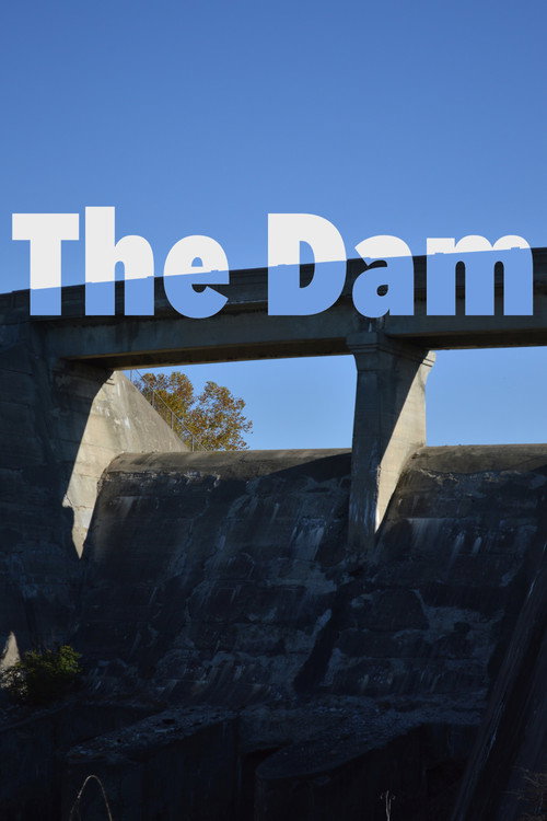 The Dam