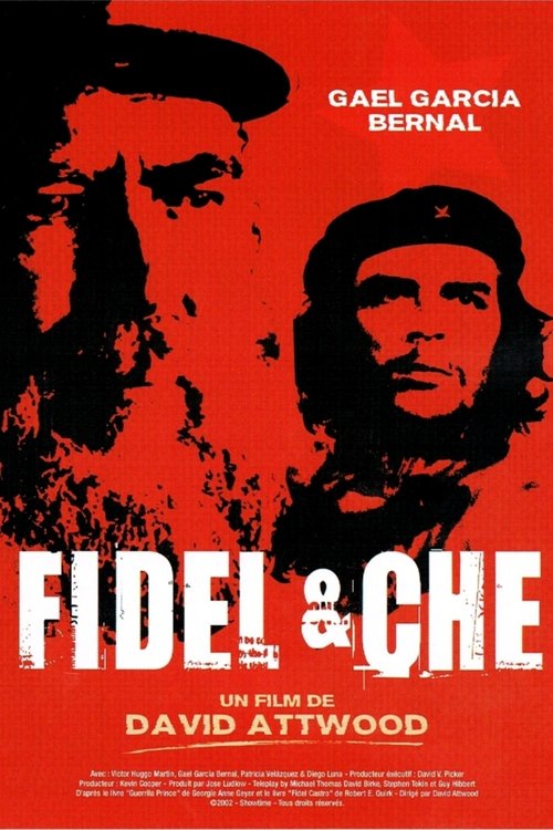 Fidel poster