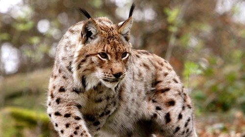 Image de l'épisode 9