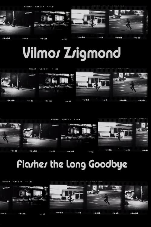 Vilmos Zsigmond Flashes 'The Long Goodbye' 2002