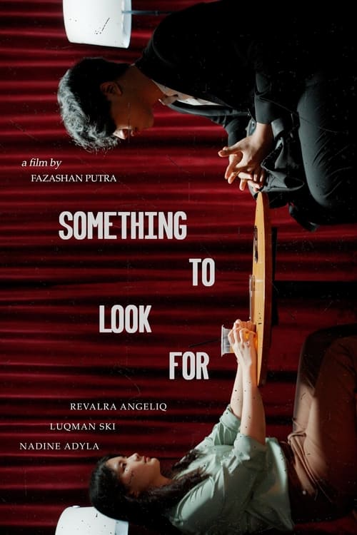 Something To Look For poster