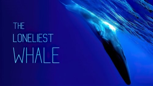 Watch The Loneliest Whale: The Search for 52 Movies Online