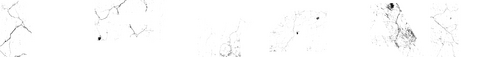Primal