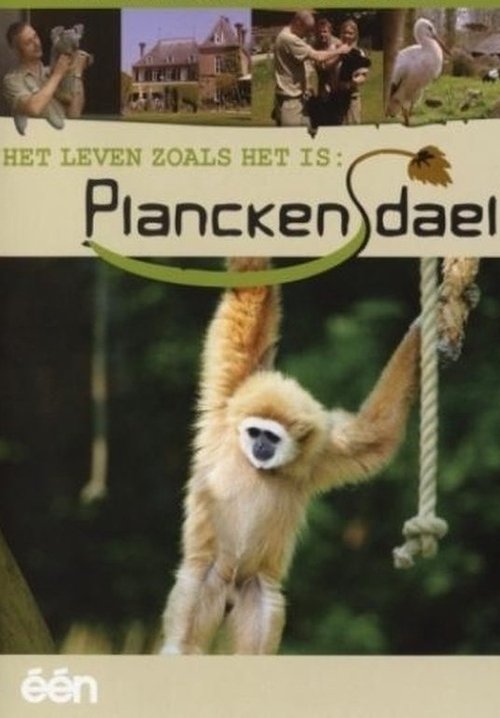 Het Leven Zoals Het Is: Planckendael