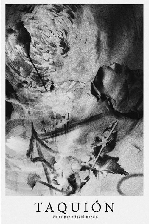 TAQUIÓN poster