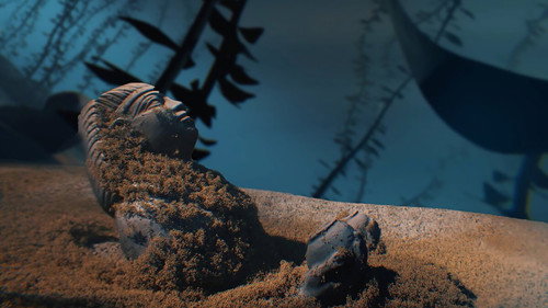 Scanning the Nile — Fundos 1
