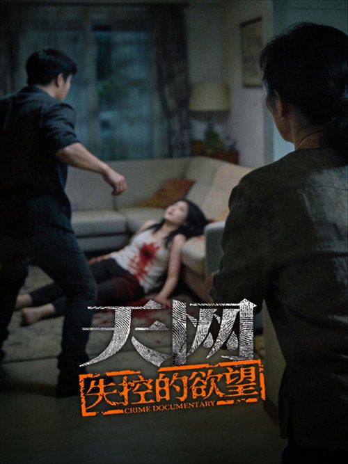 天网 poster