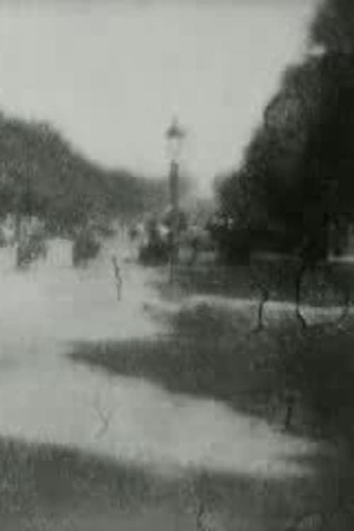 Panoramic View of the Champs Elysees (1900)