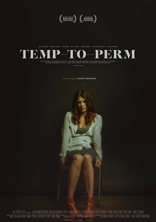 Poster do filme Temp-To-Perm