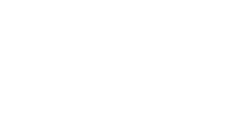 The Wedding Veil Inspiration