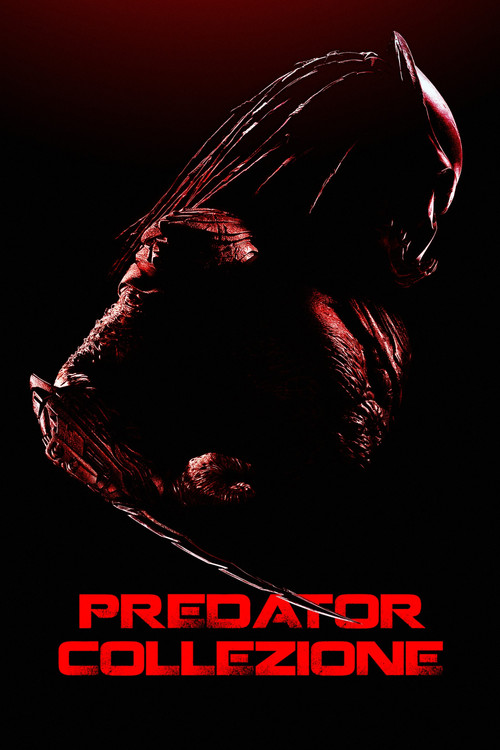 Predator - Collezione