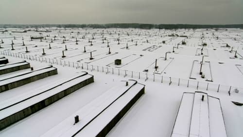 Poster della serie Auschwitz: The Nazis and the Final Solution