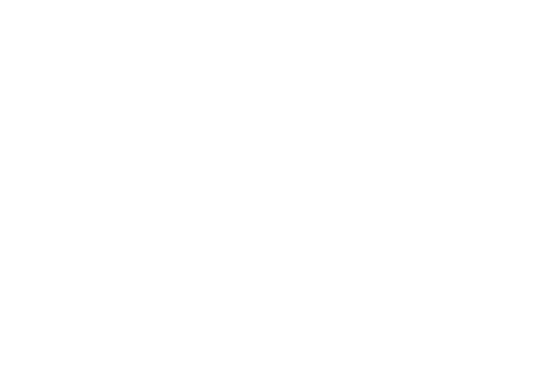 The Invisible Shield