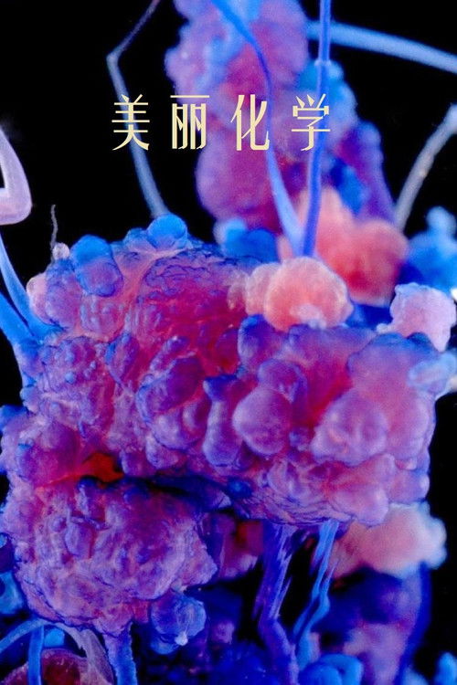 美丽化学 (2014) poster