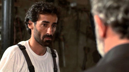 Oğurlanmış arzular