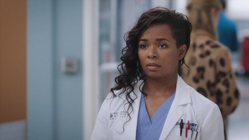 Grey’s Anatomy: 22×11