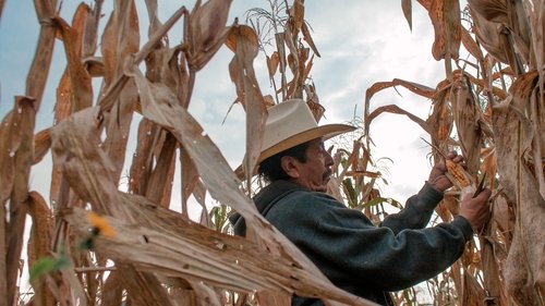 Seeds, the legacy of the land Seeds, the legacy of the land