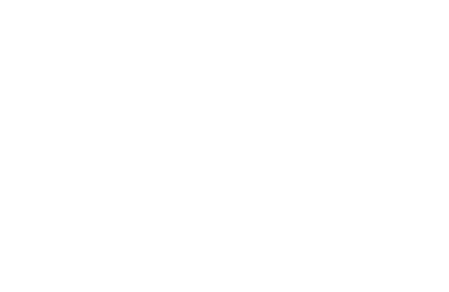 A Complete Unknown