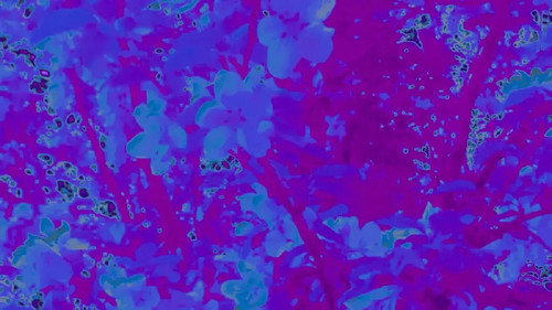 backdrop Don't Think of Me