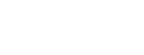 The Snail and the Whale
