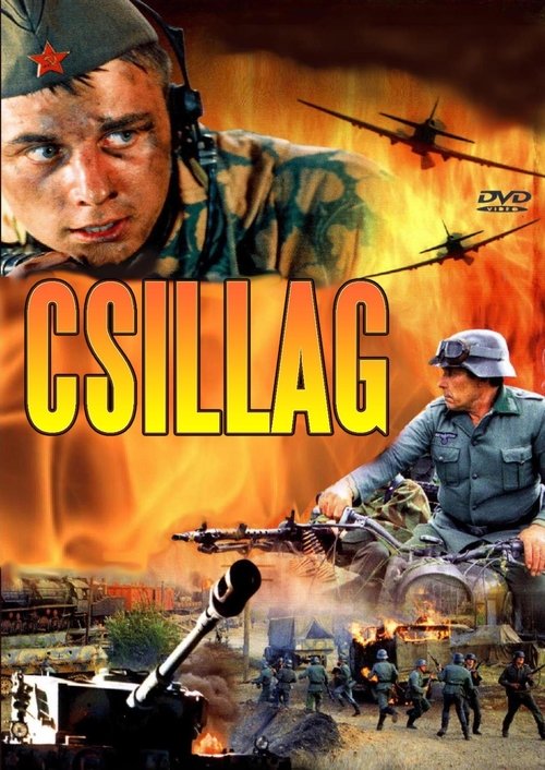 Csillag movie poster player