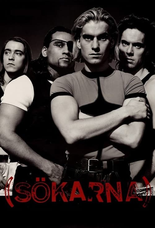 Poster Sökarna 1993