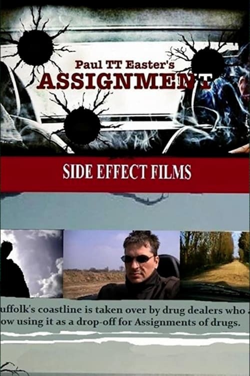 Assignment (2013) poster