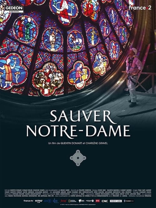 Poster Sauver Notre-Dame 2020