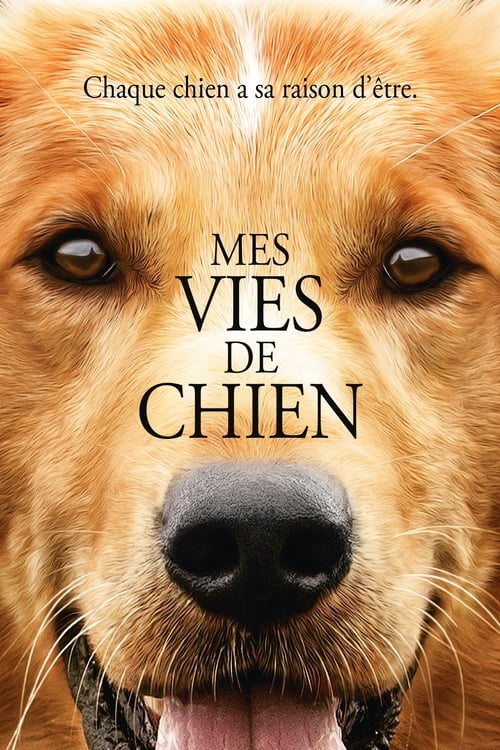 Poster image du film Mes vies de chien Mes vies de chien