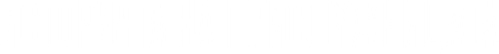 The Handmaid's Tale