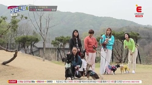 Image de l'épisode 37