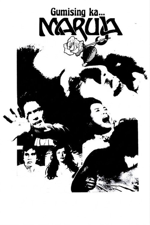 Wake Up... Maruja poster