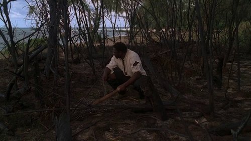 Poster della serie Lost