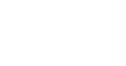 The African Doctor
