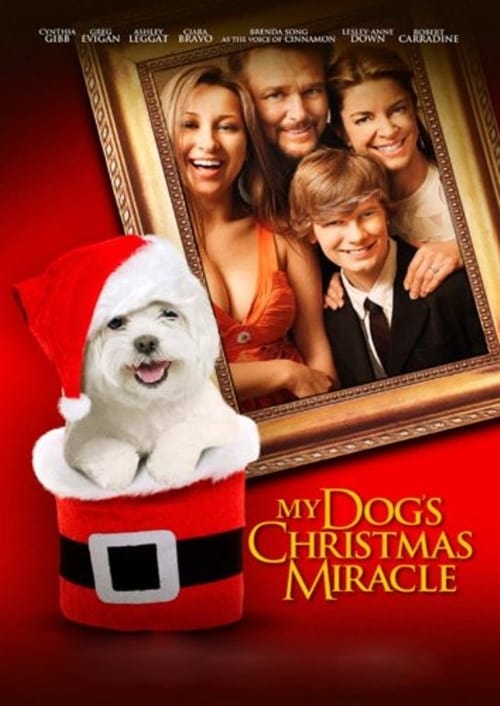 My Dog's Christmas Miracle (2011) Poster