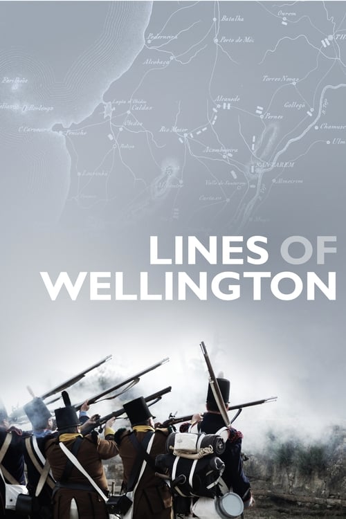 Poster Linhas de Wellington 2012