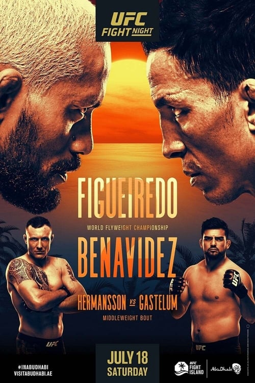 UFC Fight Night 173: Figueiredo vs. Benavidez 2 2020