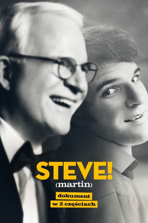 STEVE! (martin): dokument w 2 częściach