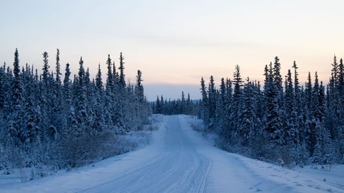 Poster della serie Life Below Zero: Northern Territories