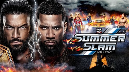 Poster della serie WWE Pay Per View