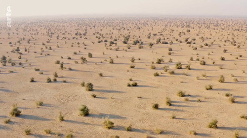 Destination Wild: India