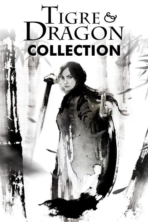 Tigre et Dragon - Saga