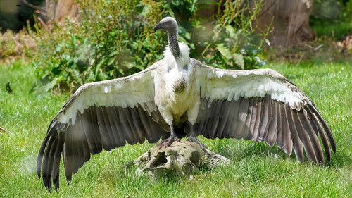 Image de l'épisode 7