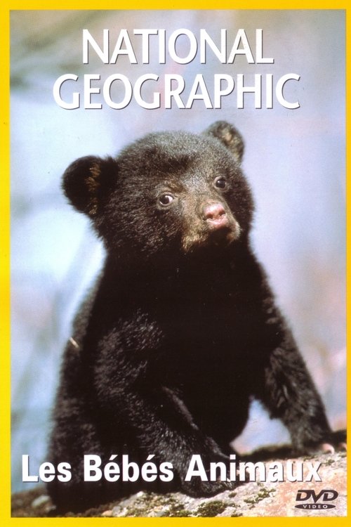 National Geographic : Les Bébés animaux movie poster player