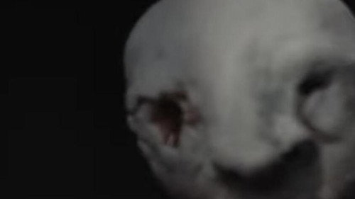 Nine Inch Nails: Came Back Haunted Bild 2