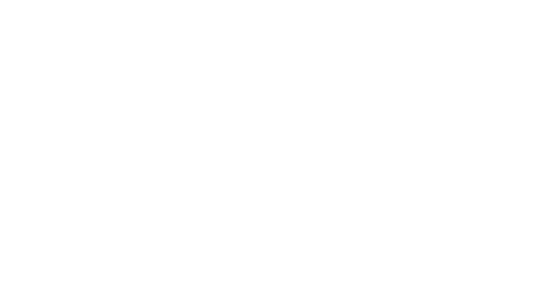 风流一代