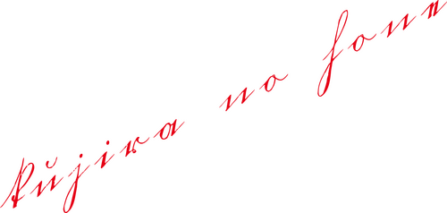 鯨の骨