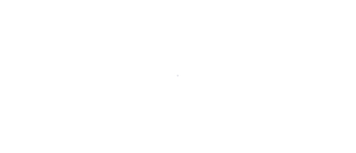 The Underclass