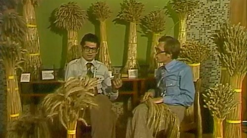 Image de l'épisode 82